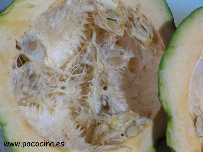 Calabaza de cidra Calabaza de cidra