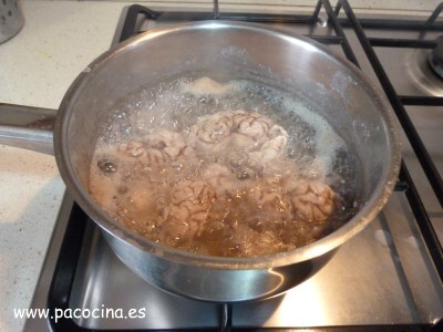 Cocer sesos Cocer sesos