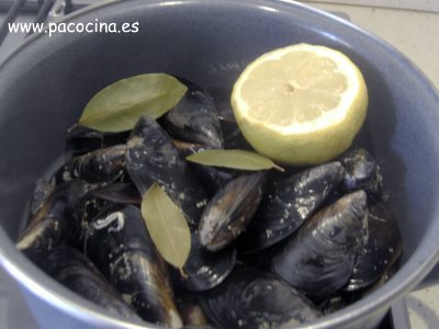 Cocer mejillones Cocer mejillones