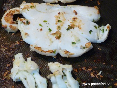 Sepia a la plancha Sepia a la plancha