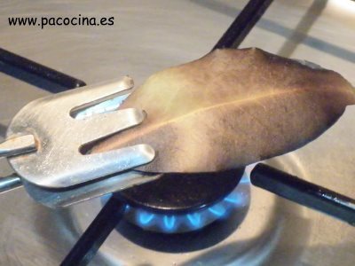 Tostar laurel Tostar laurel