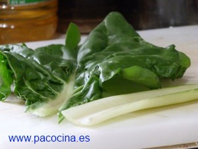 Acelgas cortadas Acelgas cortadas