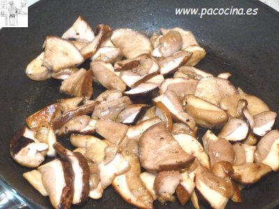Boletus salteados