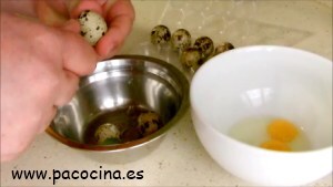Cascar huevos de codorniz Cascar huevos de codorniz
