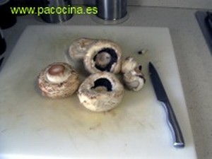 Champiñones Champiñones