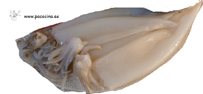 Chipirones limpios Chipirones limpios