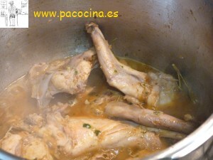 Conejo campero Conejo campero