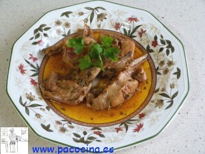 Conejo campero Conejo campero