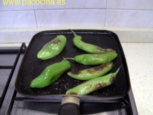 Pimientos verdes a la plancha Pimientos verdes a la plancha
