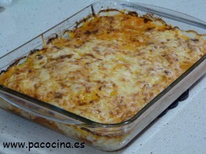 Gratín de coliflor Gratín de coliflor