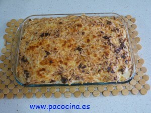 Lasaña de macarrones Lasaña de macarrones