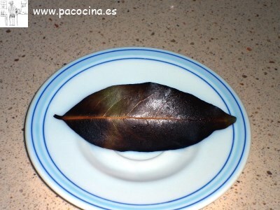 Tostar laurel Tostar laurel